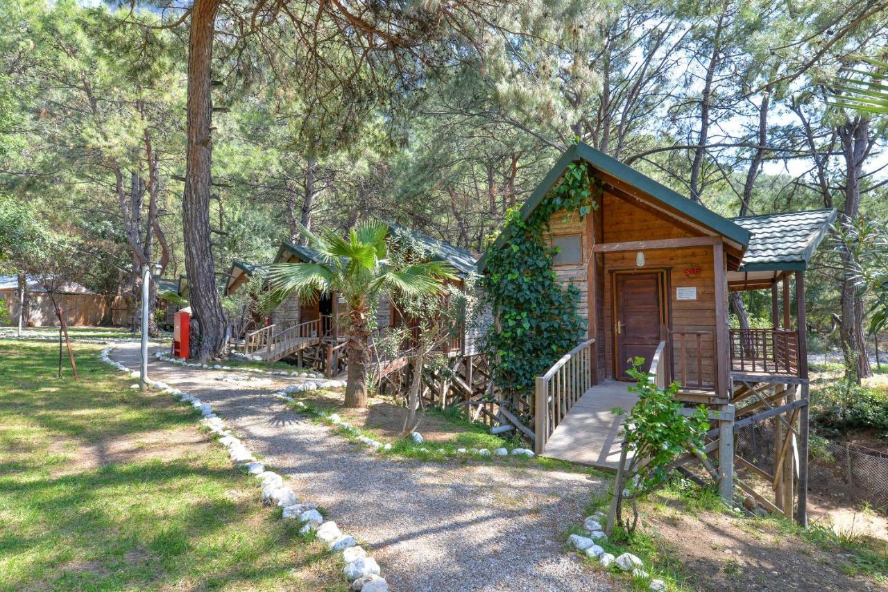 Sea Valley Lodge Faralya Exterior photo